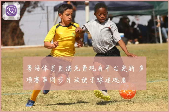 粤语体育直播免费观看平台更新 多项赛事同步开放便于球迷观看