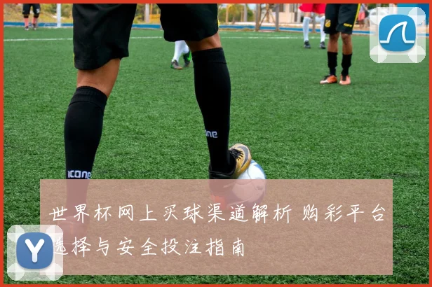世界杯网上买球渠道解析 购彩平台选择与安全投注指南