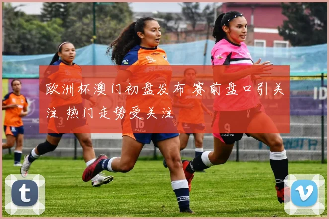 欧洲杯澳门初盘发布 赛前盘口引关注 热门走势受关注