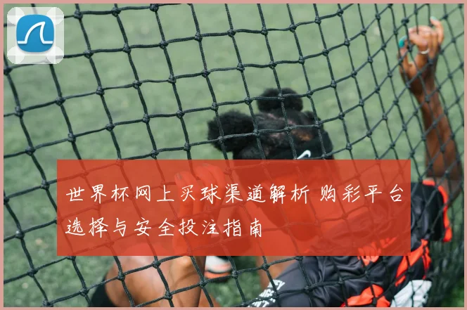 世界杯网上买球渠道解析 购彩平台选择与安全投注指南